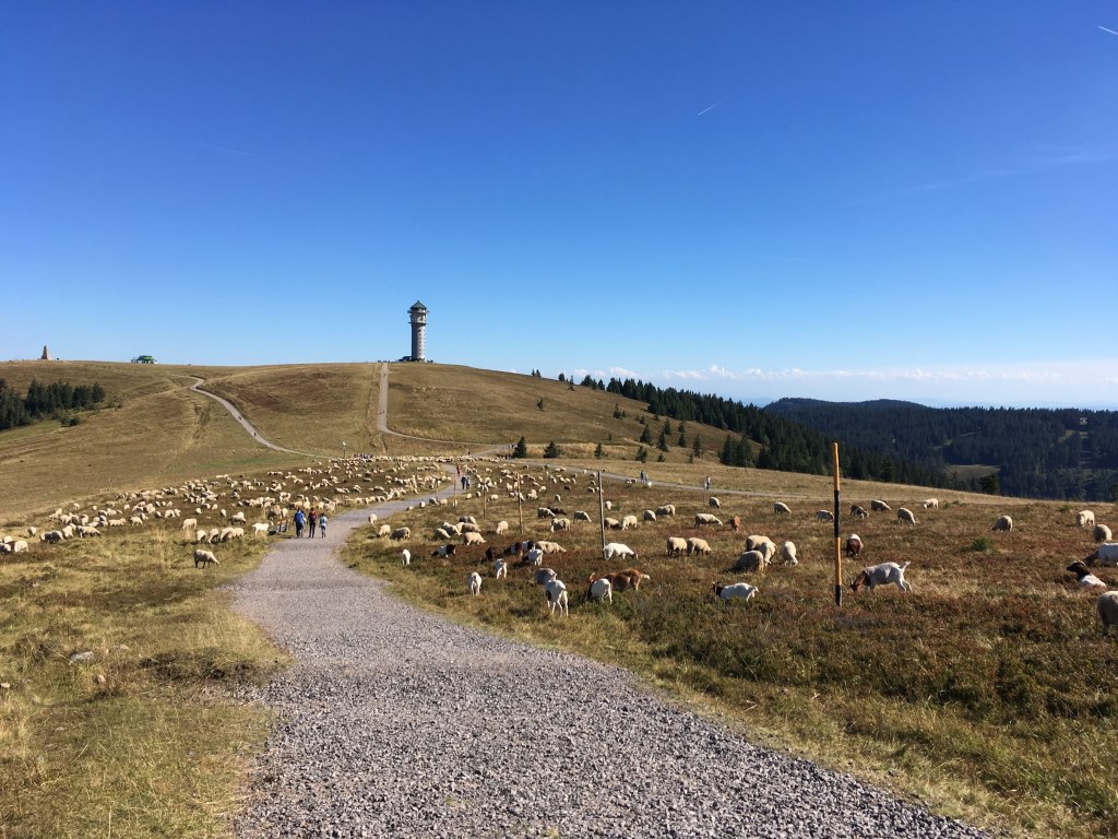 Wander- und Erlebnisgebiet Feldberg