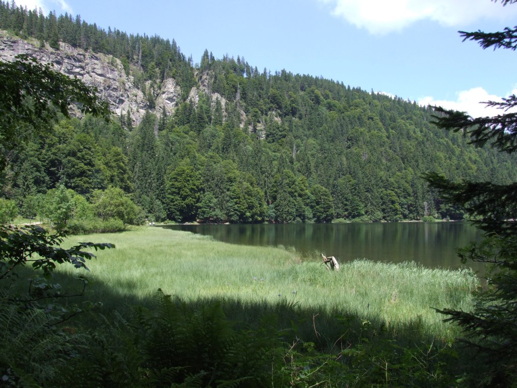 Premiumwanderweg Feldbergsteig