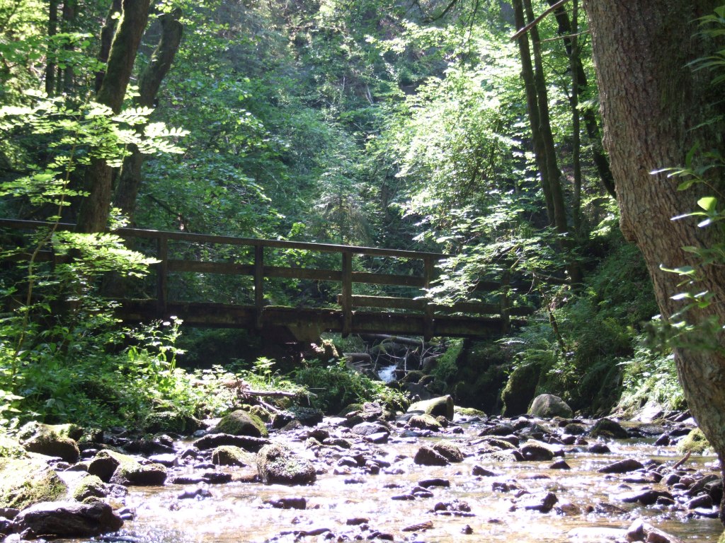 Lotenbachklamm